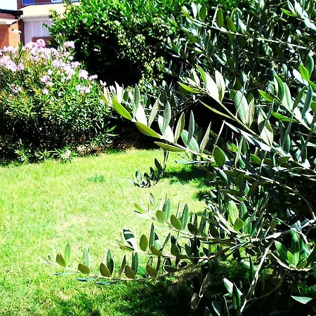 Lejlighed Lavanda